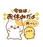 毎日連絡♡ねこねこにゃんこ（個別スタンプ：16）