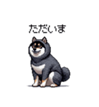 オオカミのふりする太っちょ黒柴犬（個別スタンプ：30）