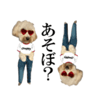 私の家のかわいい犬(マルプー)（個別スタンプ：24）