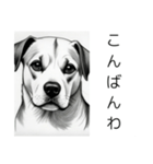 鉛筆で描いたような犬（個別スタンプ：3）