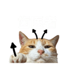 天使と悪魔と"とらジロー"（個別スタンプ：26）