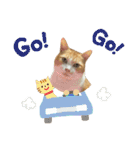 天使と悪魔と"とらジロー"（個別スタンプ：37）