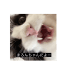 愉快なまろちゃま（個別スタンプ：4）