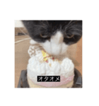 愉快なまろちゃま（個別スタンプ：5）
