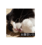 愉快なまろちゃま（個別スタンプ：7）