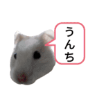 シャイニング建築士☆その1（個別スタンプ：4）