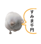 シャイニング建築士☆その1（個別スタンプ：8）