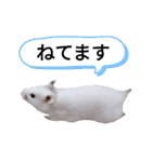 シャイニング建築士☆その1（個別スタンプ：10）