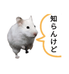 シャイニング建築士☆その1（個別スタンプ：14）
