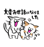 ふでねこ6【冬、年末年始、お正月】筆文字（個別スタンプ：1）