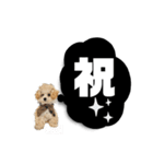 uni  ＆ soi  わんこのいる暮らしstamp（個別スタンプ：23）