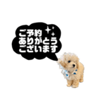 uni  ＆ soi  わんこのいる暮らしstamp（個別スタンプ：25）