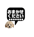 uni  ＆ soi  わんこのいる暮らしstamp（個別スタンプ：28）