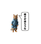 服を着た猫が煽る台詞と吹き出しスタンプ（個別スタンプ：3）