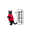 服を着た猫が煽る台詞と吹き出しスタンプ（個別スタンプ：19）