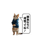 服を着た猫が煽る台詞と吹き出しスタンプ（個別スタンプ：22）