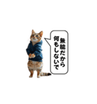 服を着た猫が煽る台詞と吹き出しスタンプ（個別スタンプ：23）