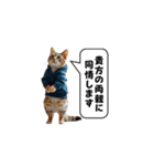 服を着た猫が煽る台詞と吹き出しスタンプ（個別スタンプ：24）