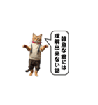 服を着た猫が煽る台詞と吹き出しスタンプ（個別スタンプ：31）