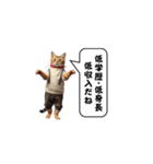 服を着た猫が煽る台詞と吹き出しスタンプ（個別スタンプ：32）