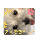 めりる20241019（個別スタンプ：5）