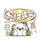 シーズー犬【カラフル】2024（個別スタンプ：2）