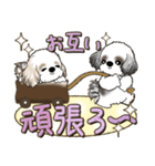 シーズー犬【カラフル】2024（個別スタンプ：18）