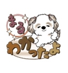 シーズー犬【カラフル】2024（個別スタンプ：26）