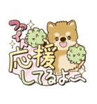 柴犬・茶色い犬【カラフル】2024（個別スタンプ：35）