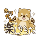 柴犬・茶色い犬【カラフル】2024（個別スタンプ：38）