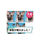 海へようこそ〜とあるワンちゃんズの夢〜（個別スタンプ：14）