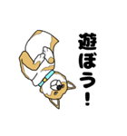 柴犬のうた（個別スタンプ：11）