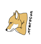 柴犬のうた（個別スタンプ：14）