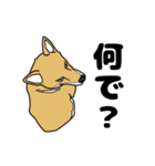 柴犬のうた（個別スタンプ：15）