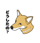 柴犬のうた（個別スタンプ：16）