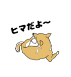 柴犬のうた（個別スタンプ：17）
