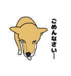 柴犬のうた（個別スタンプ：18）