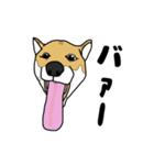 柴犬のうた（個別スタンプ：20）