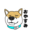 柴犬のうた（個別スタンプ：21）