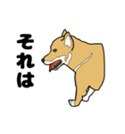 柴犬のうた（個別スタンプ：23）
