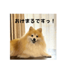 えり太セレクション3（個別スタンプ：1）