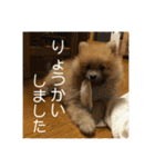 えり太セレクション3（個別スタンプ：2）