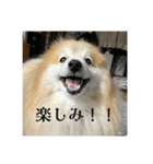 えり太セレクション3（個別スタンプ：5）