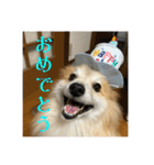えり太セレクション3（個別スタンプ：7）