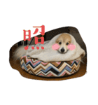 えり太セレクション3（個別スタンプ：9）
