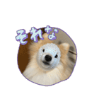 えり太セレクション3（個別スタンプ：10）