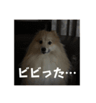 えり太セレクション3（個別スタンプ：15）