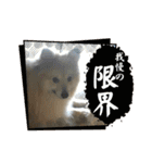 えり太セレクション3（個別スタンプ：16）