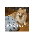 えり太セレクション3（個別スタンプ：17）