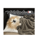 えり太セレクション3（個別スタンプ：18）